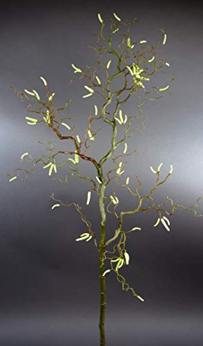 Seidenblumen Roß Korkenzieherhasel/Haselnusszweig 100cm PM Kunstzweig künstlicher Zweig Korkenzieherzweig von Seidenblumen Roß