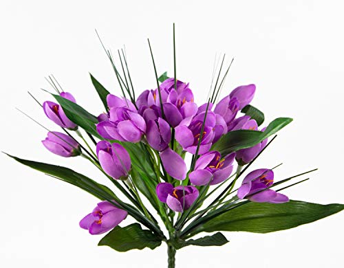 Seidenblumen Roß Krokusbusch 28cm lila PM Kunstpflanzen Kunstblumen künstlicher Crocus Krokus Blumen Pflanzen Seidenblumen Roß Krokusbusch 28cm lila PM Kunstpflanzen Kunstblumen künstlicher Crocus Krokus Blumen Pflanzen von Seidenblumen Roß