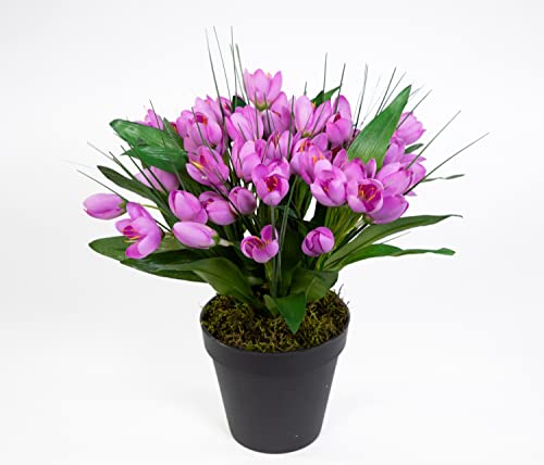 Seidenblumen Roß Krokusbusch 28cm lila im Topf PM Kunstpflanzen Kunstblumen künstlicher Crocus Krokus Blumen von Seidenblumen Roß