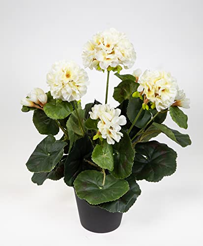 Seidenblumen Roß Künstliche Geranie im Topf 35cm LM Kunstblumen künstliche Pelargonium Blumen Pflanzen (Weiß-Creme) von Seidenblumen Roß