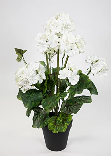 Seidenblumen Roß Künstliche Geranie im Topf 44cm JA Kunstblumen künstliche Pelargonium Blumen Pflanzen (Weiß) von Seidenblumen Roß