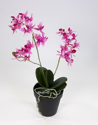 Seidenblumen Roß Künstliche Orchidee 38cm im Topf DP Blumen Pflanzen Kunstblumen Kunstpflanzen (Fuchsia) von Seidenblumen Roß