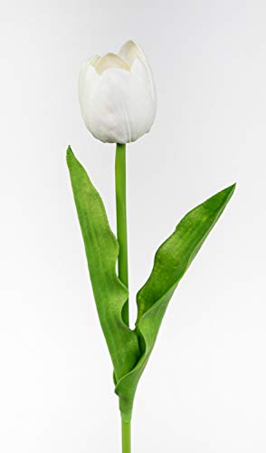 Seidenblumen Roß Künstliche Tulpe PU Real Touch 50cm weiß ZF Kunstblumen künstliche Blumen Tulpen Seidenblumen Roß Künstliche Tulpe PU Real Touch 50cm weiß ZF Kunstblumen künstliche Blumen Tulpen von Seidenblumen Roß