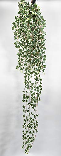 Seidenblumen Roß Künstlicher Efeubusch 170cm grün-weiß GA Kunstpflanzen künstliche Pflanzen Efeuranke von Seidenblumen Roß