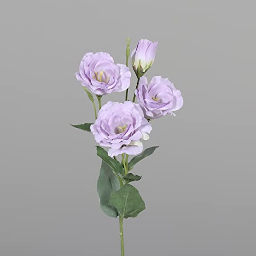 Seidenblumen Roß Lisianthus/Eustoma 54cm DP Kunstblumen künstliche Blumen Japanrose Lysianthus (Lila) von Seidenblumen Roß