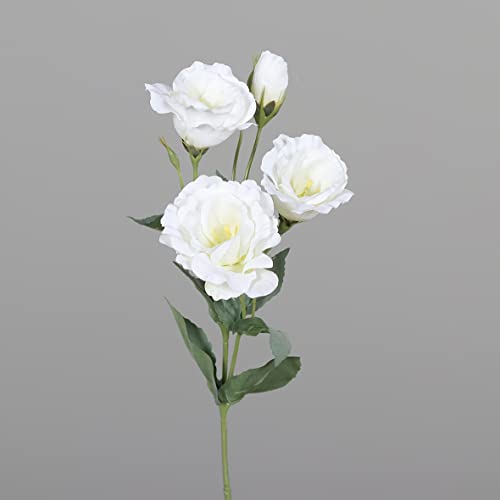 Seidenblumen Roß Lisianthus/Eustoma 54cm DP Kunstblumen künstliche Blumen Japanrose Lysianthus (Weiß) von Seidenblumen Roß