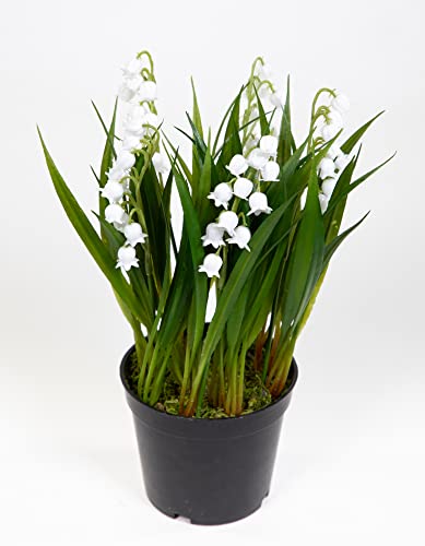 Seidenblumen Roß Maiglöckchen 22cm weiß im Topf JA Galanthus Kunstblumen künstliche Blumen Pflanzen von Seidenblumen Roß