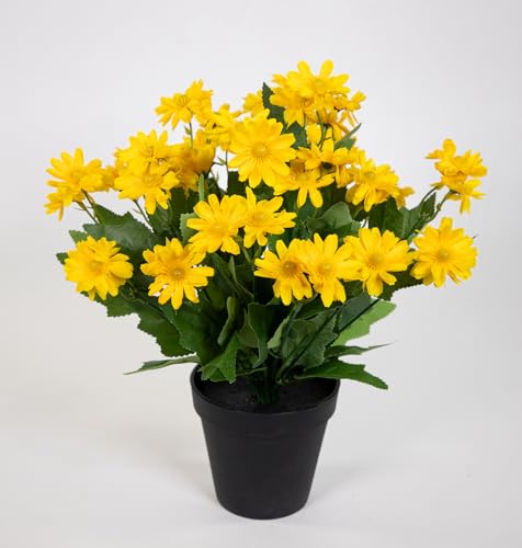 Seidenblumen Roß Margeritenbusch 32cm im Topf JA Kunstpflanzen Kunstblumen künstliche Margerite Blumen Pflanzen (Gelb) von Seidenblumen Roß