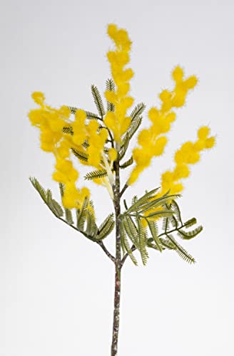 Mimosenzweig 39cm gelb GA Kunstblumen künstliche Mimose Sinnpflanzen Blumen von Seidenblumen Roß