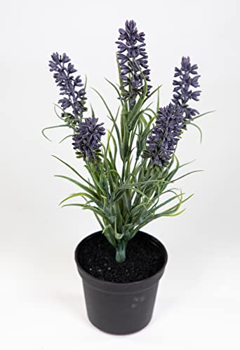 Seidenblumen Roß Mini - Lavendel 22cm lila im Topf JA Kunstblumen Kunstpflanzen künstliche Blumen Pflanzen von Seidenblumen Roß