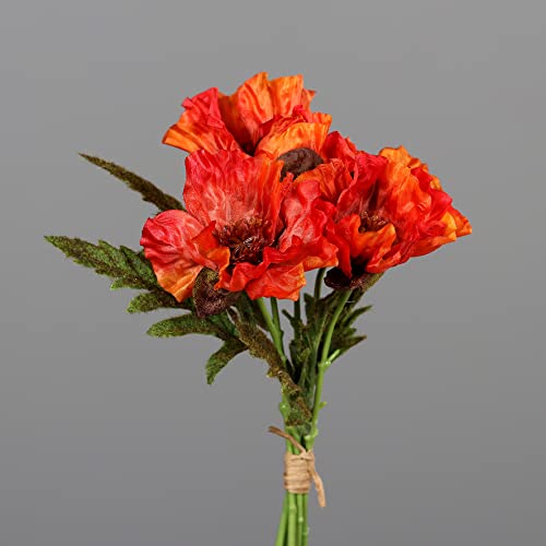 Seidenblumen Roß Mohnbund mit 5 Mohnblüten 36cm DP Kunstblumen künstliche Blumen künstlicher Mohn Papaver (Orange) von Seidenblumen Roß