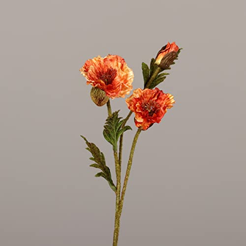 Seidenblumen Roß Mohnzweig 64cm DP Kunstblumen künstliche Blumen künstlicher Mohn Papaver (Orange) von Seidenblumen Roß