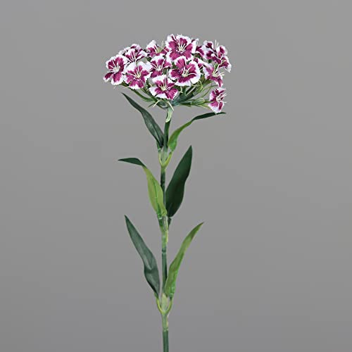 Seidenblumen Roß Nelken/Dianthus 54cm DP Kunstlbumen künstliche Blumen Nelkenzweig (Fuchsia) von Seidenblumen Roß