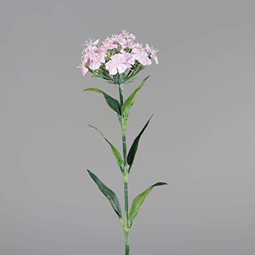 Seidenblumen Roß Nelken/Dianthus 54cm DP Kunstlbumen künstliche Blumen Nelkenzweig (Rosa) von Seidenblumen Roß