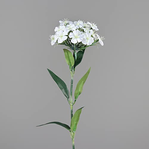 Seidenblumen Roß Nelken/Dianthus 54cm DP Kunstlbumen künstliche Blumen Nelkenzweig (Weiß) von Seidenblumen Roß