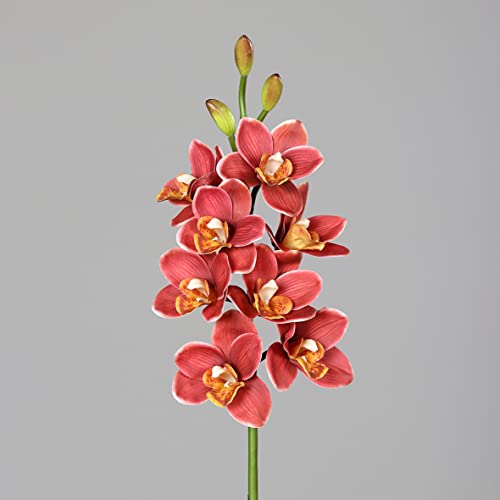 Seidenblumen Roß Orchidee Cymbidie Real Touch 80cm orange-rot DP Kunstlbumen künstliche Orchideenzweig Blumen von Seidenblumen Roß