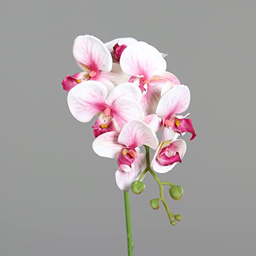 Seidenblumen Roß Orchideenzweig Real Touch 78cm DP Kunstblumen künstliche Orchidee Phalaenopsis Blumen (pink-weiß) von Seidenblumen Roß