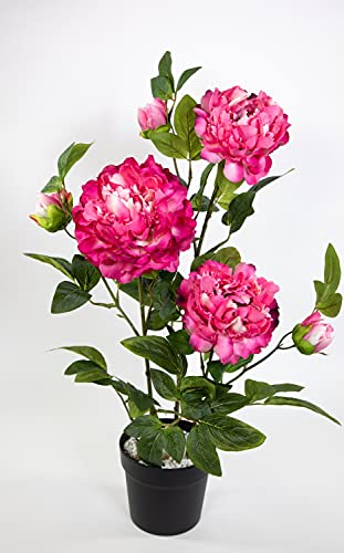 Seidenblumen Roß Pfingstrose/Päonie 68cm pink im Topf GA Kunstblumen künstliche Blumen Pflanzen Kunstpflanzen von Seidenblumen Roß