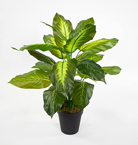 Seidenblumen Roß Philo Real Touch 52cm grün-hellgrün im Topf ZF Kunstpflanzen künstliche Pflanzen Philopflanze von Seidenblumen Roß