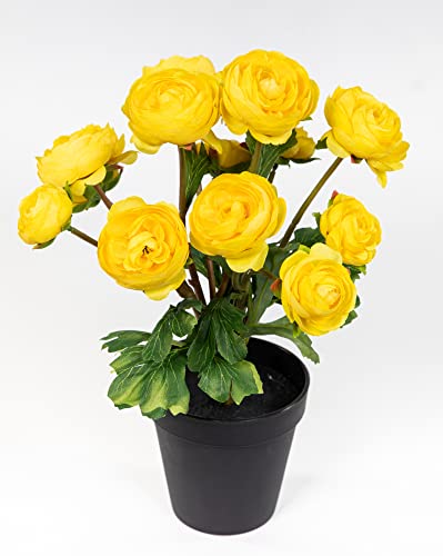 Seidenblumen Roß Ranunkelbusch Natural 32cm gelb im Topf DP Kunstpflanzen Kunstblumen künstliche Ranunkel Blumen von Seidenblumen Roß