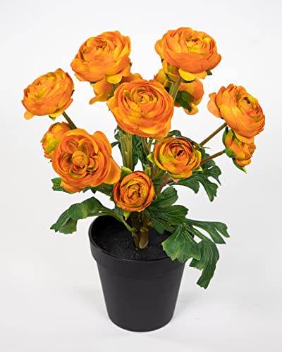 Seidenblumen Roß Ranunkelbusch Natural 32cm orange im Topf DP Kunstpflanzen Kunstblumen künstliche Ranunkel Blumen von Seidenblumen Roß