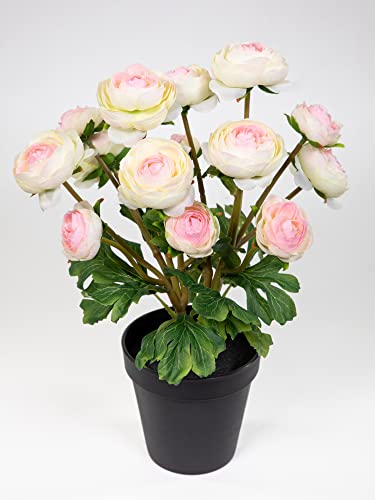 Seidenblumen Roß Ranunkelbusch Natural 32cm rosa-weiß im Topf DP Kunstpflanzen Kunstblumen künstliche Ranunkel Blumen von Seidenblumen Roß