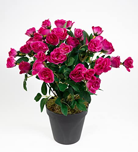 Seidenblumen Roß Rosenbusch 30cm Fuchsia im Topf ZF Kunstpflanzen Kunstblumen künstliche Blumen Rosenstrauch Rosen von Seidenblumen Roß
