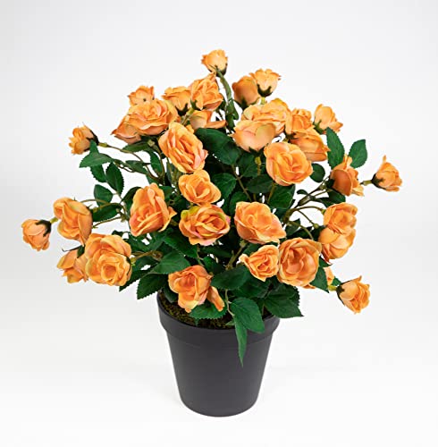 Seidenblumen Roß Rosenbusch 30cm orange im Topf ZF Kunstpflanzen Kunstblumen künstliche Blumen Rosenstrauch Rosen von Seidenblumen Roß