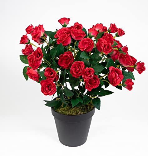 Seidenblumen Roß Rosenbusch 30cm rot im Topf ZF Kunstpflanzen Kunstblumen künstliche Blumen Rosenstrauch Rosen von Seidenblumen Roß