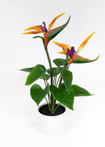 Seidenblumen Roß Strelitzie Natura 42cm mit 2 Blüten im weißen Topf GA Kunstblumen künstliche Paradiesvogelblume Blumen Pflanze Bird of Paradise von Seidenblumen Roß