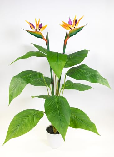 Seidenblumen Roß Strelitzie Natura 80cm mit 2 Blüten im weißen Topf GA Kunstblumen künstliche Paradiesvogelblume Blumen Pflanze Bird of Paradis von Seidenblumen Roß