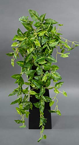 Seidenblumen Roß Syngonium-Ranke Real Touch 65cm grün-gelb ZF Kunstpflanzen künstliche Pflanzen Syngoniumbusch von Seidenblumen Roß
