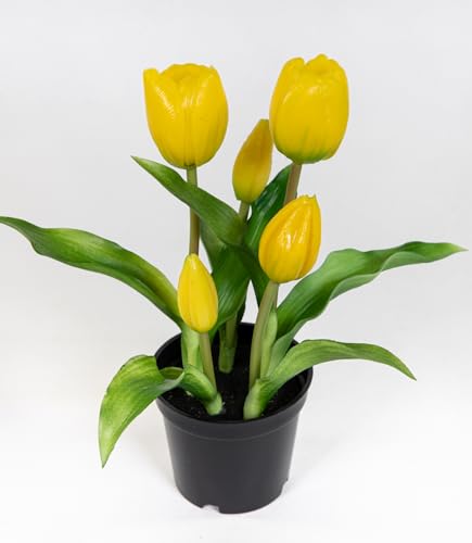 Seidenblumen Roß Tulpen Real Touch 24cm im Topf ZF Kunstpflanzen künstliche Pflanzen Tulpentopf (Gelb) von Seidenblumen Roß