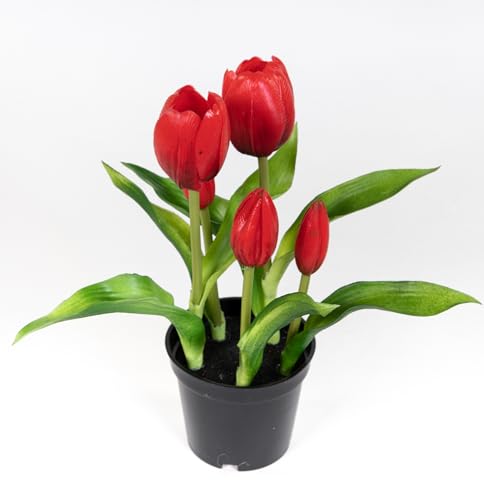 Seidenblumen Roß Tulpen Real Touch 24cm im Topf ZF Kunstpflanzen künstliche Pflanzen Tulpentopf (Rot) von Seidenblumen Roß