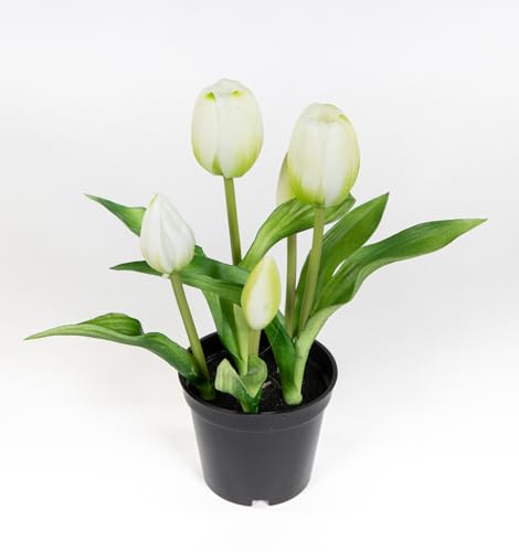 Seidenblumen Roß Tulpen Real Touch 24cm im Topf ZF Kunstpflanzen künstliche Pflanzen Tulpentopf (Weiß) von Seidenblumen Roß