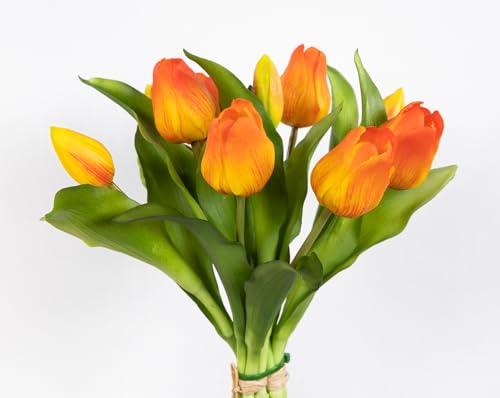 Seidenblumen Roß Tulpenbund Nature Real Touch 32x26cm mit 10 Blüten LM Kunstblumen künstliche Blumen Tulpen Latex … (orange) von Seidenblumen Roß