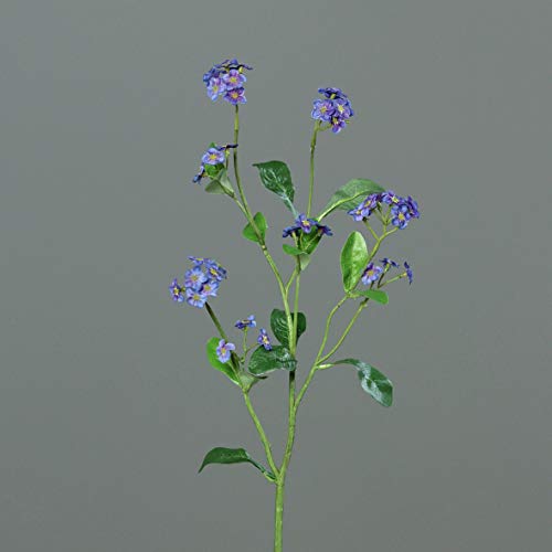 Seidenblumen Roß Vergissmeinnichtzweig 50cm DP Kunstblumen künstliche Blumen Myosotis Vergissmeinnicht von Seidenblumen Roß