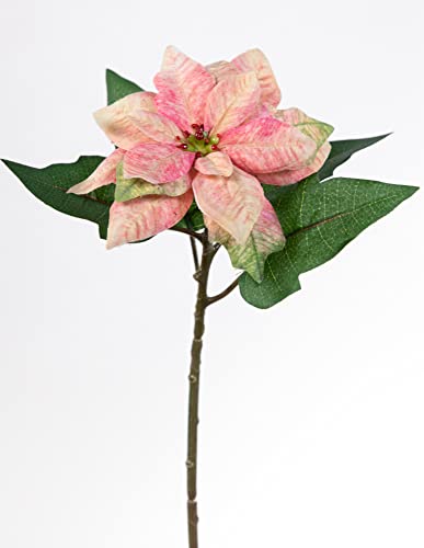 Seidenblumen Roß Weihnachtsstern 30cm rosa LM Kunstblumen künstliche Blumen Poinsettie künstlicher Weihnachtsstern von Seidenblumen Roß