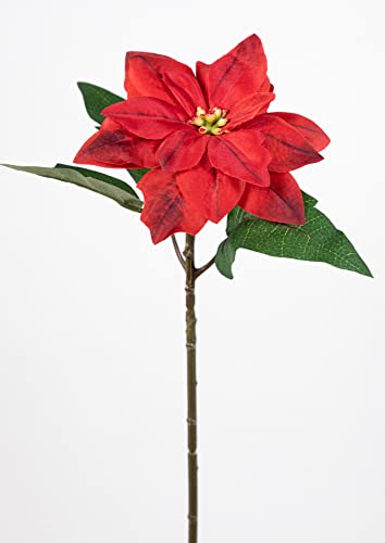 Seidenblumen Roß Weihnachtsstern 30cm rot LM Kunstblumen künstliche Blumen Poinsettie künstlicher Weihnachtsstern von Seidenblumen Roß