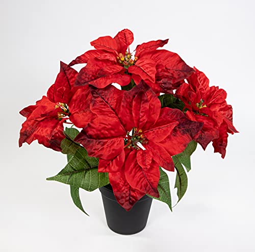 Seidenblumen Roß Weihnachtsstern 36cm rot im Topf LM künstliche Blumen Kunstpflanzen Kunstblumen Poinsettie von Seidenblumen Roß