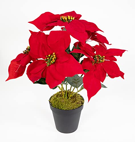 Seidenblumen Roß Weihnachtsstern 36cm rot im schwarzen Topf JA künstliche Blume Kunstpflanze Kunstblumen Poinsettie von Seidenblumen Roß