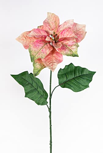 Seidenblumen Roß Weihnachtsstern 70cm rosa LM Kunstblumen künstliche Blumen Poinsettie künstlicher Weihnachtsstern von Seidenblumen Roß