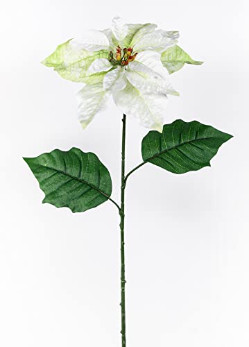 Seidenblumen Roß Weihnachtsstern 70cm weiß LM Kunstblumen künstliche Blumen Poinsettie künstlicher Weihnachtsstern von Seidenblumen Roß