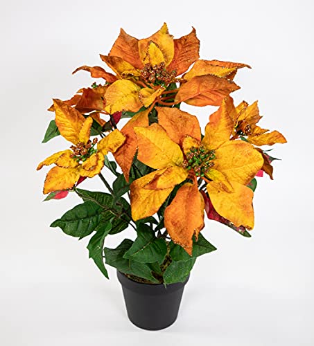 Seidenblumen Roß Weihnachtsstern mit Glitzer 48cm orange im Topf LM künstliche Blumen Kunstblumen Poinsettie von Seidenblumen Roß