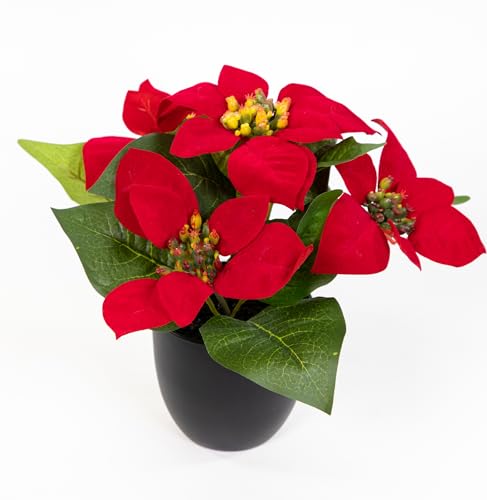 Seidenblumen Roß Weihnachtsstern rot im schwarzen Topf DP künstliche Blume Kunstpflanze Kunstblumen Poinsettie (22cm) von Seidenblumen Roß