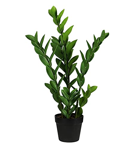 Seidenblumen Roß Zamioculcas Zamiifolia/Glücksfeder 65cm LA Kunstpflanzen künstliche Pflanzen Zamii von Seidenblumen Roß