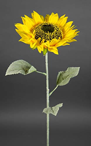 Sonnenblume Deluxe 75cm LM (Modell 2019) Kunstblumen künstliche Blumen Sonnenblumen von Seidenblumen Roß