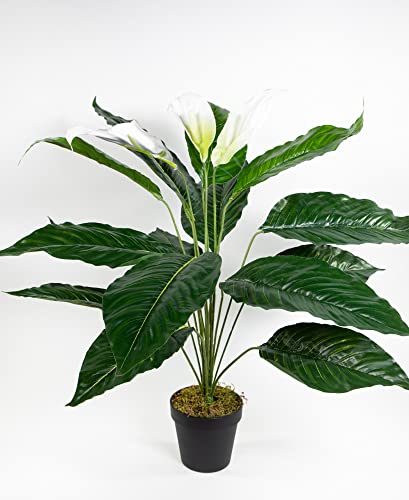 Seidenblumen Roß Spathiphyllum Real Touch 70cm mit 3 Blüten im Topf ZJ Kunstpflanzen künstliche Pflanzen von Seidenblumen Roß