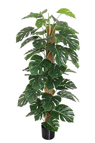 Splitphilo am Kokosstamm LA künstlicher Baum Kunstbaum Kunstpflanze künstliche Pflanzen (150cm) von Seidenblumen Roß