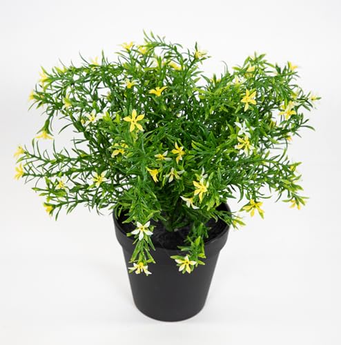 Sternblütenbusch 28cm im Topf GA Kunstpflanzen Kunstblumen Blumen Pflanzen (Gelb) von Seidenblumen Roß